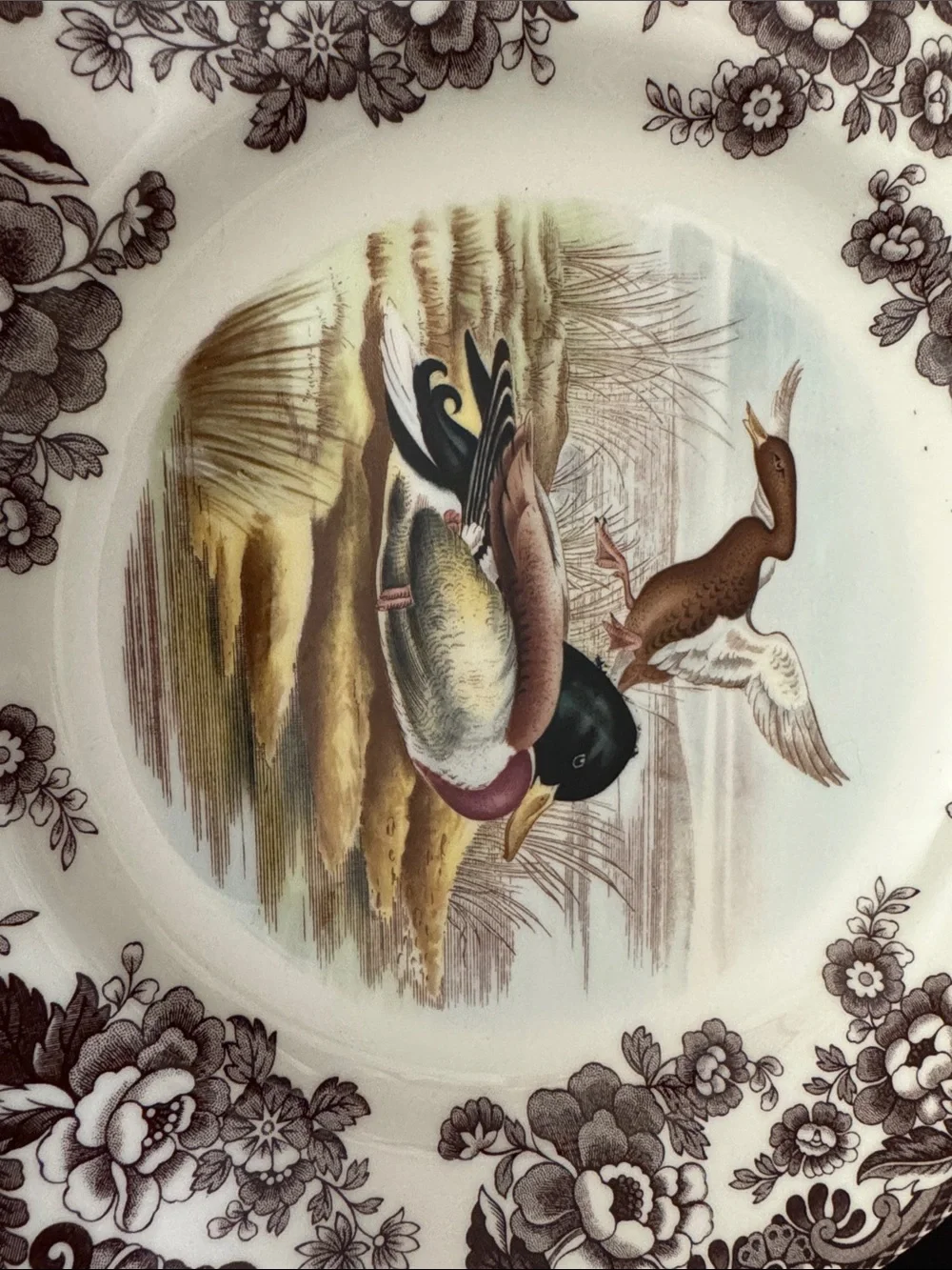 Spode MALLARD, Woodland Brown/Multi-Duck Scene Dinner Plate, 10.5”.2 available